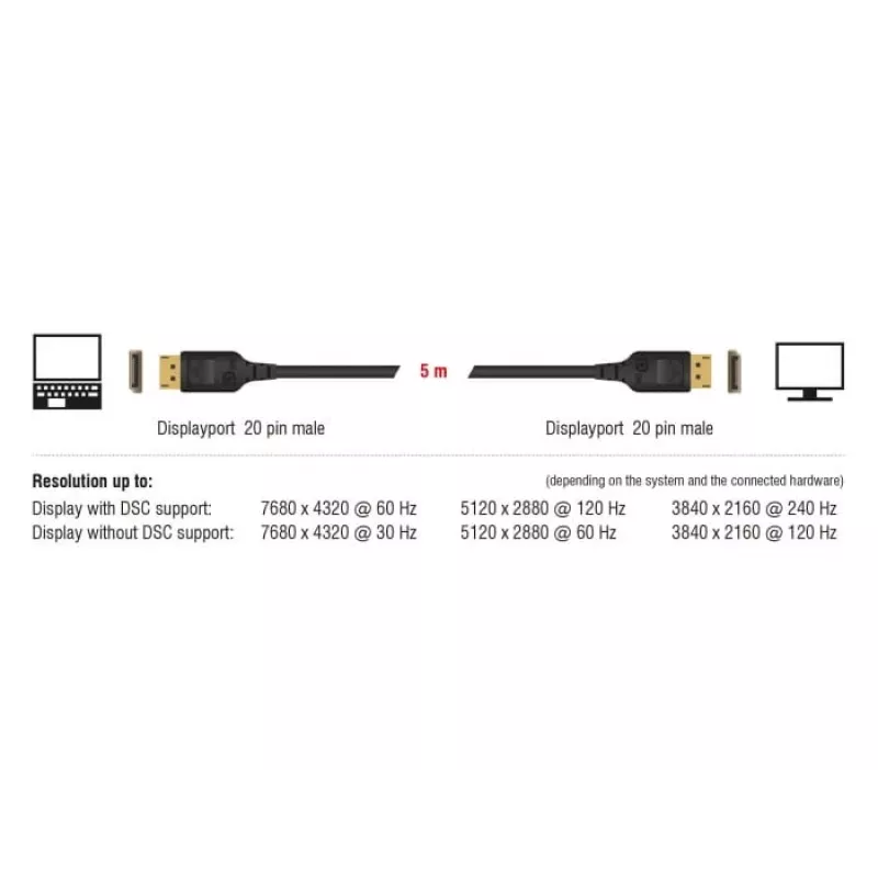 DisplayPort-kabel DeLOCK 85661 3 m zwart