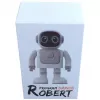 Bluetooth-luidspreker ALLNET Robert met app-bediening – model Robert