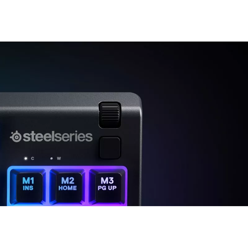 Steelseries APEX 3 TKL toetsenbord USB QWERTY US English zwart