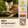 INABA Churu Varieties Chicken - kattensnacks - 50 x 14g
