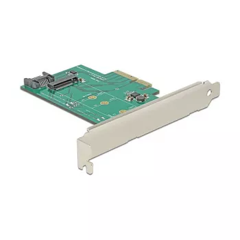 Interfacekaart DeLOCK 89381 intern M.2 SATA