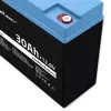 Oplaadbare LiFePO4-accu QOLTEC 12,8V 30Ah 384Wh met BMS