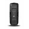 Draagbare luidspreker APA24 Bluetooth karaoke, zwart