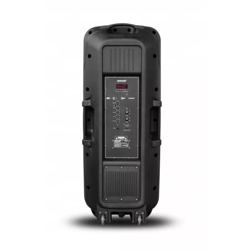Draagbare luidspreker APA24 Bluetooth karaoke, zwart