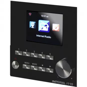DABMAN i110 wlan-internetradio + mediaspelerfunctie. Wood