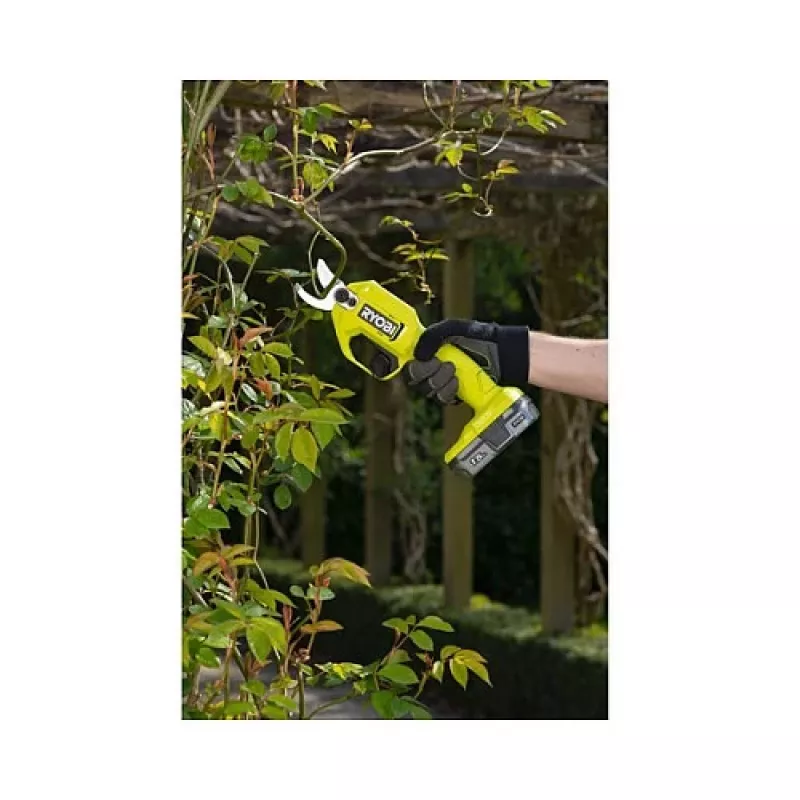 Ryobi takkenschaar