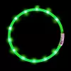 LED-halsband Anicoll groen voor honden en katten model oplaadbare verlichting