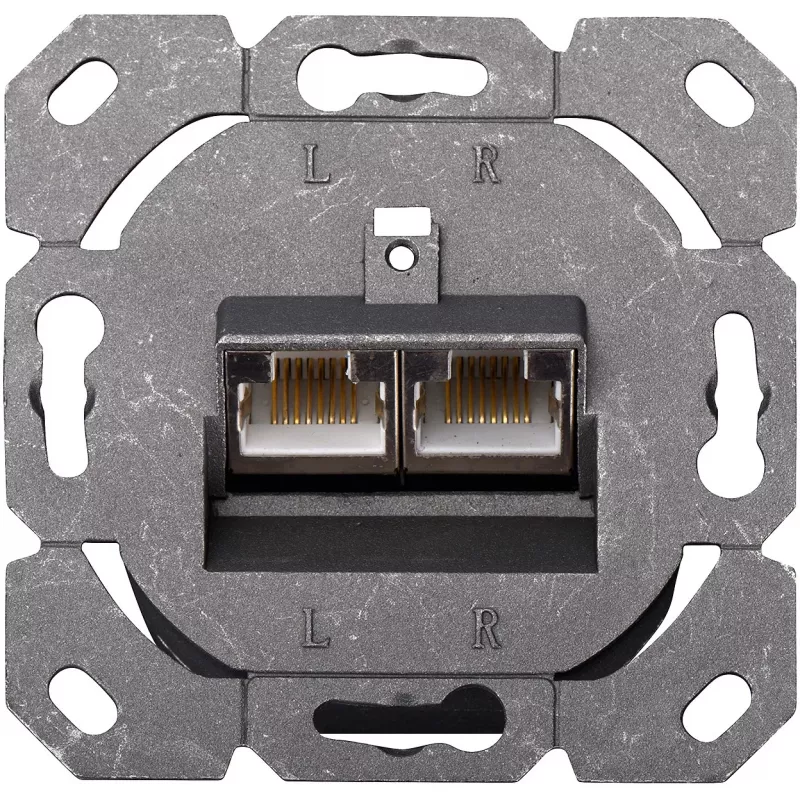 DIGITUS DN-9005-N - aansluitdoos, inbouw - RJ-45 X 2 - RAL 9010 - 2 poorten (DN-9005-N)