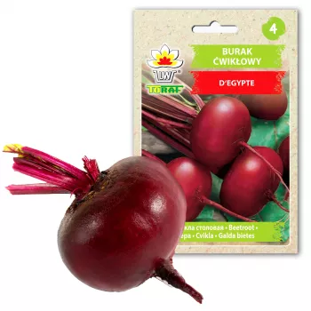 Egyptische rode biet D'Egypte Toraf groentezaden, 10g-pakket