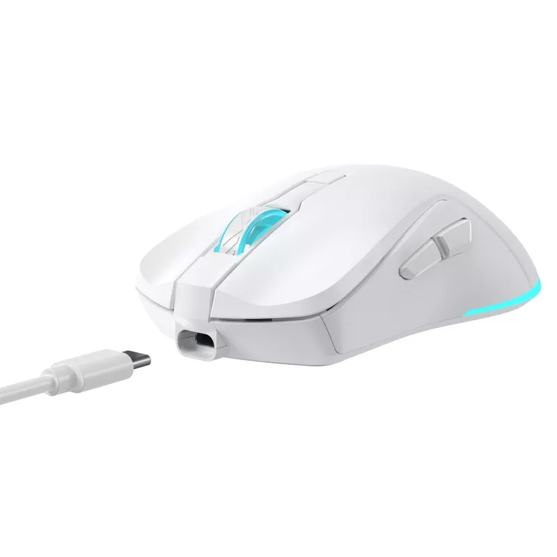 Muis Baracuda BGM-122 Turtle wit TURTLE-W