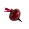 Egyptische rode biet D'Egypte Toraf groentezaden, 10g-pakket