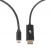 USB-C-naar-DisplayPort-kabel TB AKTBXVDUSBCDP2B 2 m – zwart