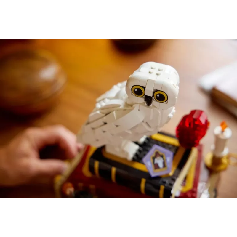 LEGO HARRY POTTER 76466 De Steen der Wijzen - Collectors' Edition