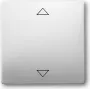 BUSCH JAEGER 6430-0-0343 - kantelen - wit - 63 mm - 63 mm - 1 stuk(s)