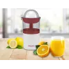 Waterkoker Beper P102EST100 1,7 L 2200 W – RVS verwarmingselement