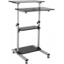 ROLINE pc-werkplek - standaard voor lcd-scherm / toetsenbord / muis / cpu / printer - kunststof, metaal - grijs, zwart (17.02.1547)