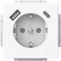 BJ 20 EUCB2USBAC-84 SCHUKO-/USB-A+C stopcontact (2CKA002011A6306)