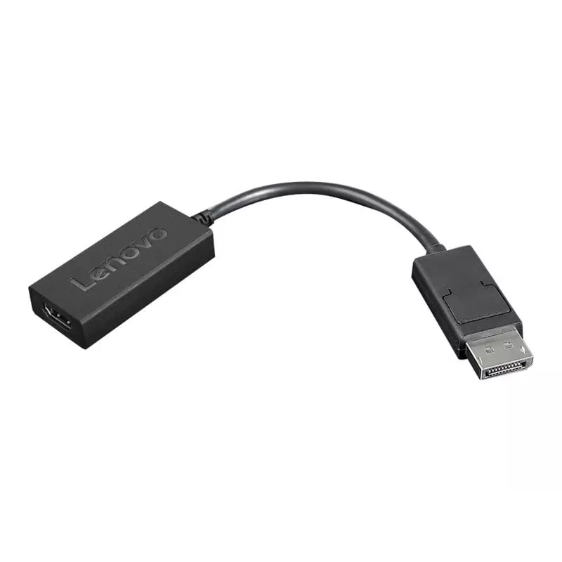 Lenovo 4X90R61023 DisplayPort-naar-HDMI 2.0b-adapter, DP male – HDMI female, 22,5 cm, 4K, zwart