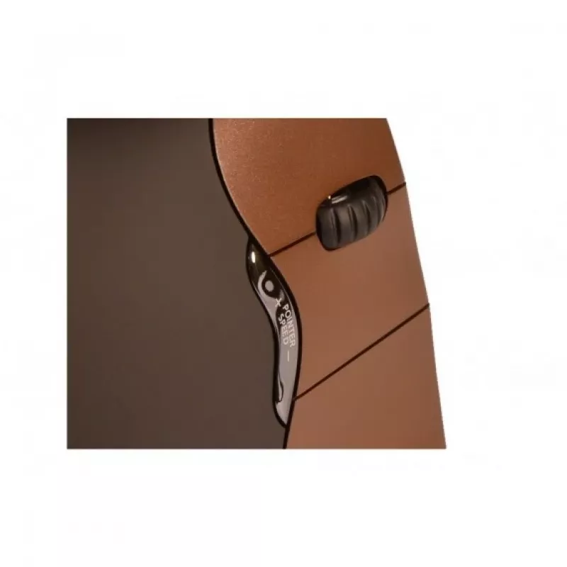 BakkerElkhuizen Evoluent 4 Small Wireless, rechtshandig, verticaal ontwerp, laser, RF Wireless, 2600 DPI, zwart, bruin