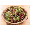 China Rose radijszaden voor spruitgroenten, 20g verpakking