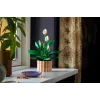 LEGO BOTANICALS 11504 Vredeslelie