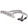 Slotplaatkabel USB 2.0 HighSpeed Type 2xIDC (5pin)/4xUSB A M/F grijs 0,25 m