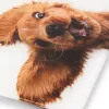 Weegschaal Zelmer ZBS1010 wit ZBS1010 hond ZELMER