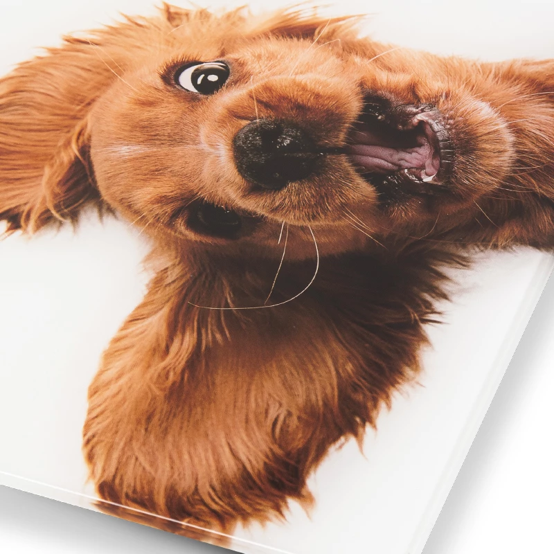Weegschaal Zelmer ZBS1010 wit ZBS1010 hond ZELMER