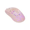 Muis White Shark GM-9004 Tristan-2 Pink RGB USB
