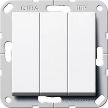 GIRA 283203 elektrische schakelaar 2P wit (283203)