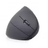 Gembird MUSW-ERGO-01 muis voor rechtshandigen RF draadloos optisch 1600 DPI