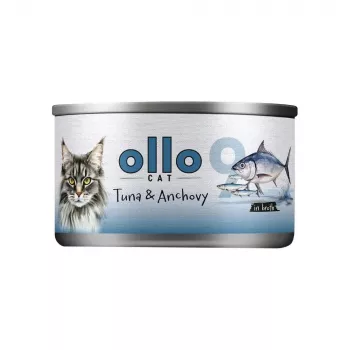 Ollo tonijn met ansjovis in bouillon nr. 9 70g