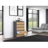 Topeshop M5 ANTRACYT/ARTISAN ladekast, antraciet/Artisan