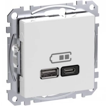 Schneider Electric WDE002983 wandstopcontact met USB-A- en USB-C-aansluitingen, Power Delivery, wit