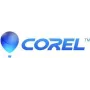 Corel PaintShop Pro 2023 - box-pack - 1 gebruiker (mini-box) - Win - meertalig - Europa