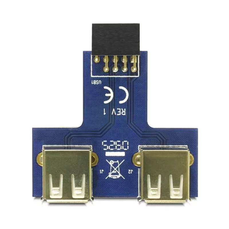 DeLOCK 9-pins 2,54 mm 2 x USB 2.0 1 x 9-pins 2,54 mm zwart blauw zilver