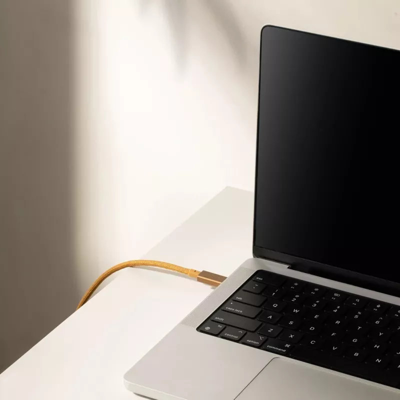 Kabel USB-C naar USB-C Native Union Belt Kabel Pro 240W, 2,4 m, USB 2.0, 0,48 Gbit/s, groen
