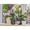 Hand-tuinsproeier Gardena 11112-20