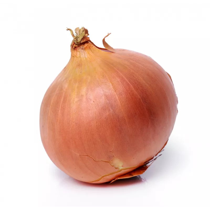 Wolska Onion Toraf groentezaden, 5g pakket