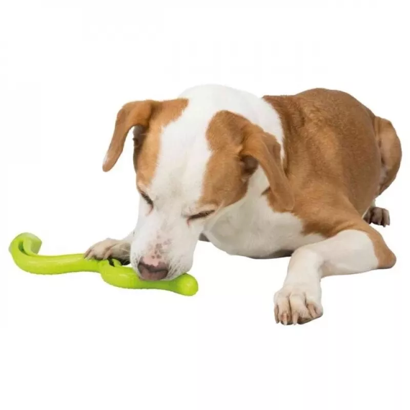 Trixie 34931 Snack-Snake hondenspeelgoed, TPR, 27 cm