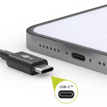 Goobay 51243 USB-kabel 2 m USB 2.0 USB-C zwart (51243)