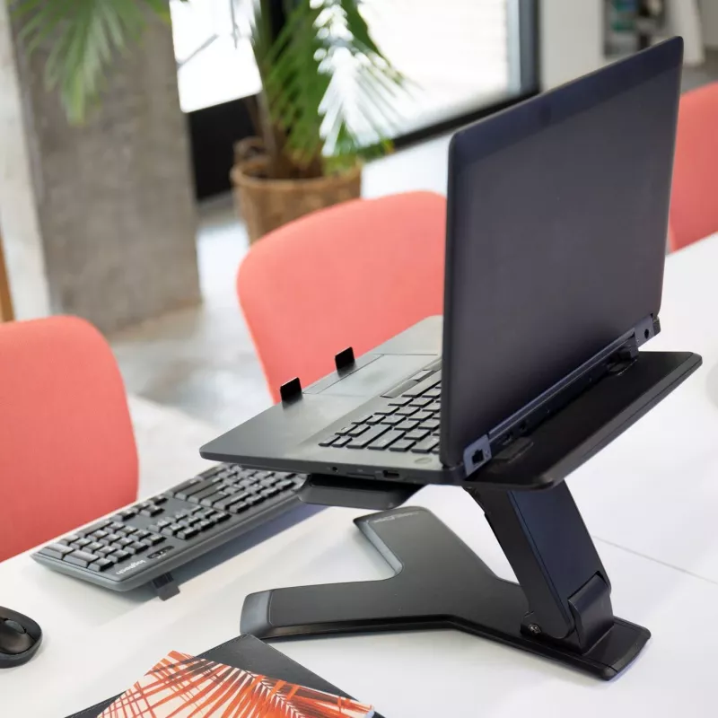 Laptopstandaard Ergotron Neo-Flex™ Notebook Lift Stand zwart