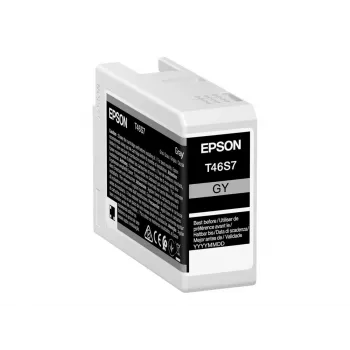 Inktcartridge Epson UltraChrome Pro 10 T46S7 grijs origineel voor compatibele Epson-printers