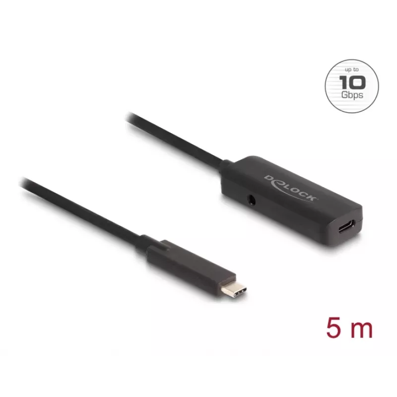 USB-kabel DeLOCK 80028 5 m USB-C zwart