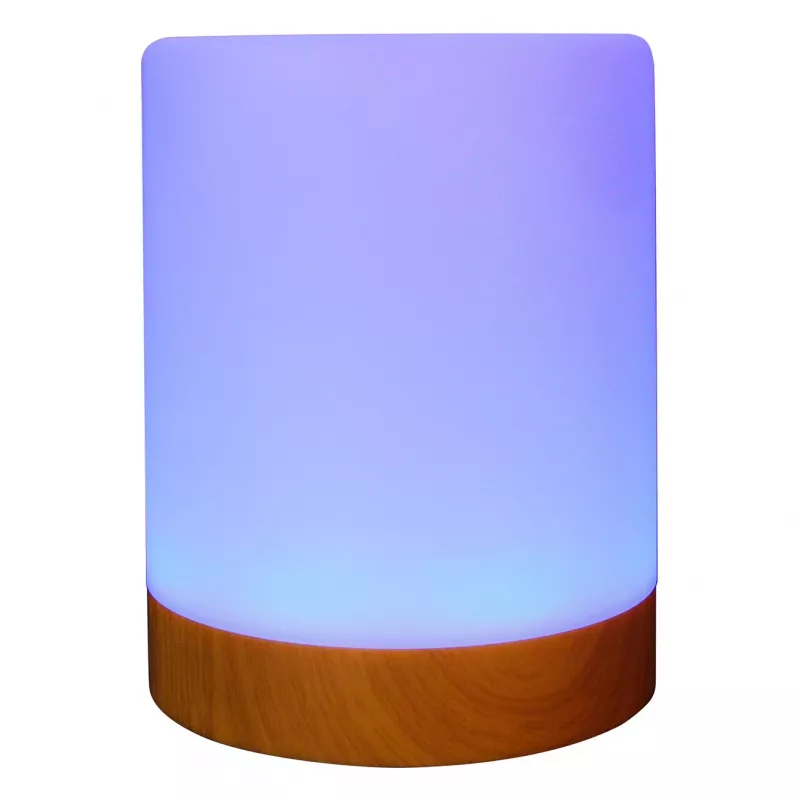 Sfeerverlichting RealPower 200 RGB met afstandsbediening