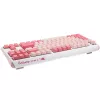 Ducky One 3 TKL toetsenbord gaming USB QWERTY Engels roze