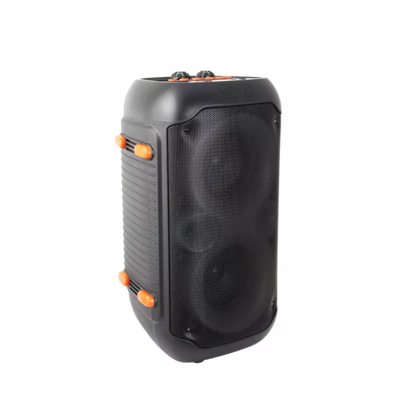Esperanza EP156 BT FM LED RGB KARAOKE luidspreker zwart 20W