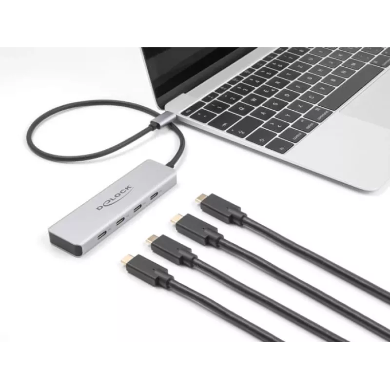 DeLOCK USB Type-C hub 10 Gbps 4 poorten aluminium grijs