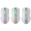 Draadloze gaming-muis DEFENDER Pandora White – ambidexter, 3200 DPI, 6 knoppen, programmeerbaar, optisch, USB