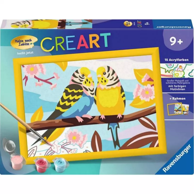 CreArt - kleurrijke grasparkieten, schilderen